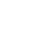 Millennium City