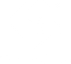 Logo Nata Connexindo